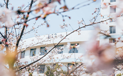 南京藝術(shù)學院 - 我的大學