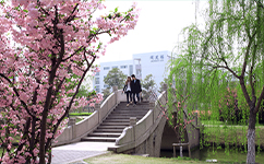 歷史沿革（概）校史