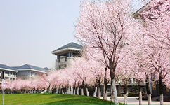 南京曉莊學院 - 我的大學