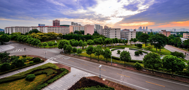 我的大學-大學志