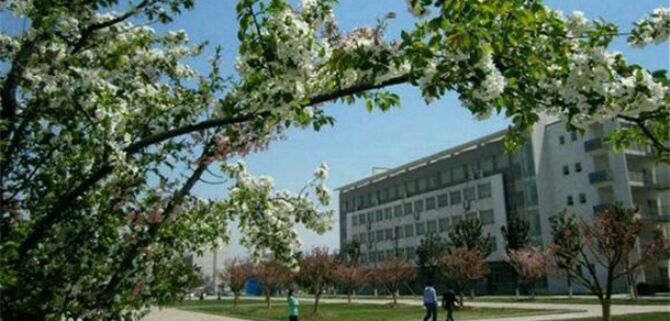 我的大學(xué)-大學(xué)志