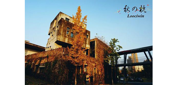 中國(guó)美術(shù)學(xué)院 - 最美大學(xué)