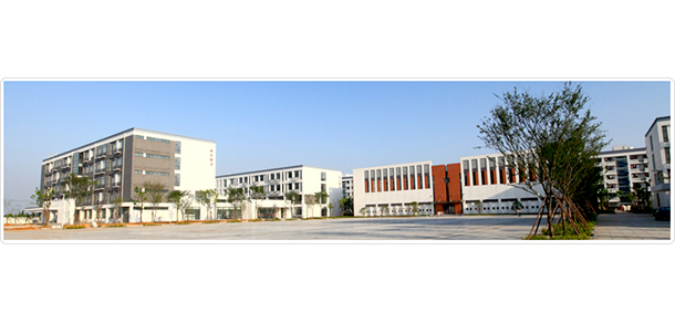 我的大學(xué)-大學(xué)志