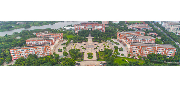 我的大學(xué)-大學(xué)志