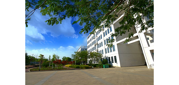 我的大學-大學志