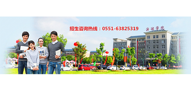 合肥濱湖職業(yè)技術學院 - 最美大學