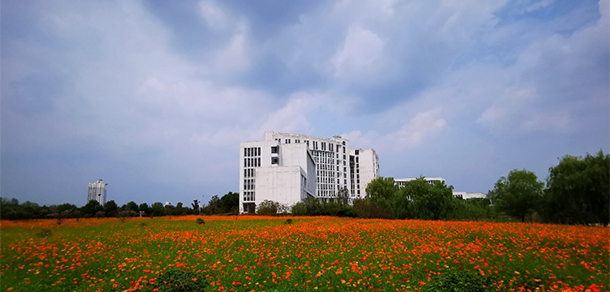 我的大學-大學志