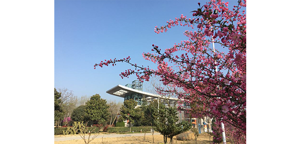 我的大學(xué)-大學(xué)志