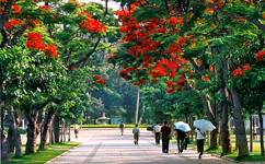 廈門大學(xué) - 我的大學(xué)