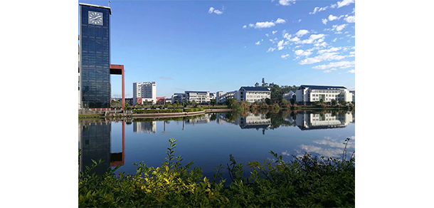 我的大學(xué)-大學(xué)志