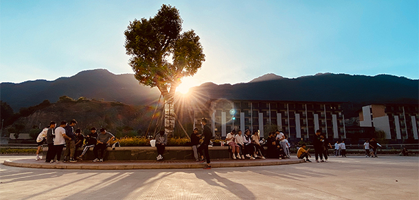 我的大學(xué)-大學(xué)志
