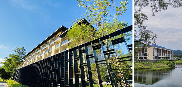 我的大學(xué)-大學(xué)志