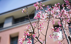 陽(yáng)光學(xué)院 - 我的大學(xué)