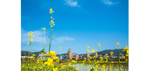 2022年招生簡(jiǎn)章
