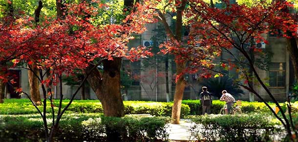 江西財經(jīng)大學 - 最美院校