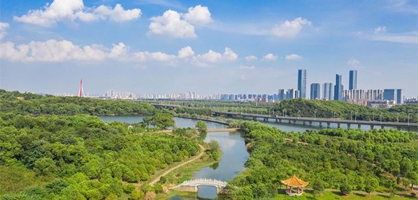 2022年招生計劃