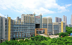 文化標識：校名題寫 / 校徽設計
