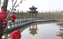 招生公告 · 招生簡(jiǎn)章 · 招生計(jì)劃