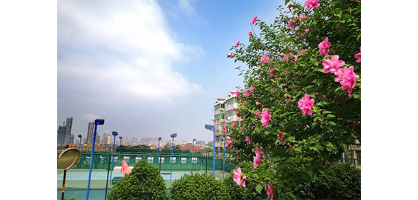 2022年招生簡(jiǎn)章