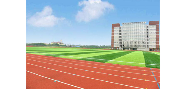 我的大學-大學志