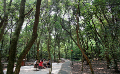 江西經(jīng)濟管理職業(yè)學(xué)院 - 我的大學(xué)