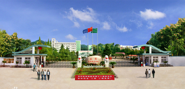 我的大學(xué)-大學(xué)志