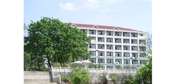 我的大學(xué)-大學(xué)志