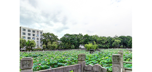 我的大學(xué)-大學(xué)志