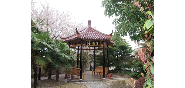 2022年招生計劃