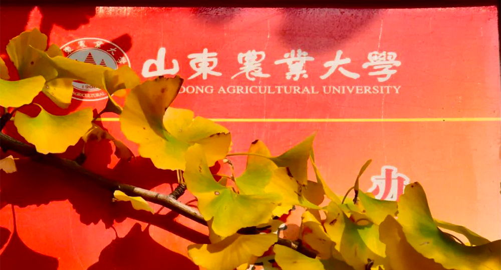 時光匆匆，歲月如歌！——珍惜自己最美好的時光，珍惜時下，放肆而不張揚的青春年華。