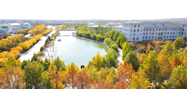 我的大學(xué)-大學(xué)志