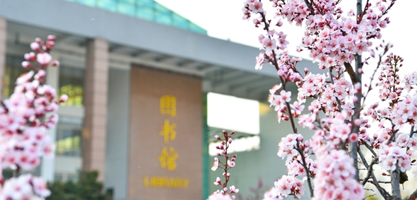 我的大學(xué)-大學(xué)志