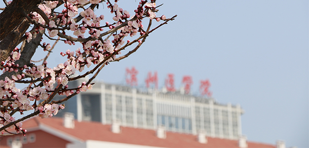 大學(xué)校志：校名、校標(biāo)、校訓(xùn)、?；铡⑿Ｆ?、校歌