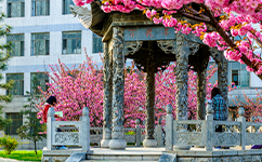 文化標(biāo)識(shí)：校名題寫 / ?；赵O(shè)計(jì)