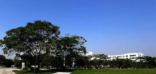 我的大學(xué)-大學(xué)志