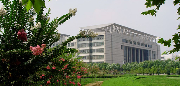 我的大學(xué)-大學(xué)志