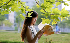 招生公告 · 招生簡(jiǎn)章 · 招生計(jì)劃