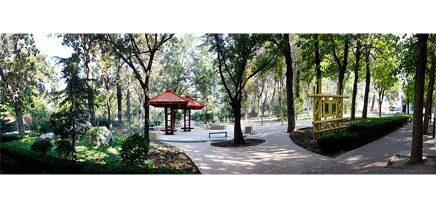 我的大學(xué)-大學(xué)志