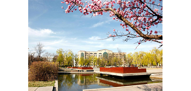 我的大學(xué)-大學(xué)志