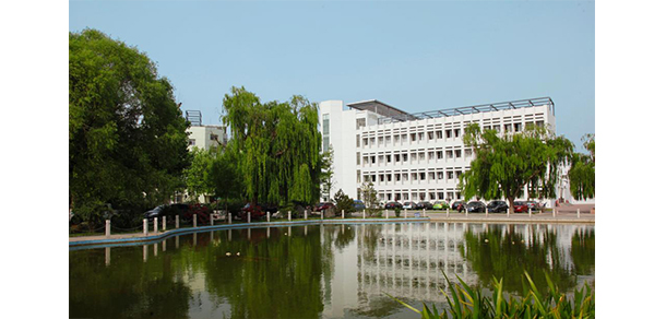 我的大學(xué)-大學(xué)志