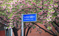 招生公告 · 招生簡章 · 招生計(jì)劃