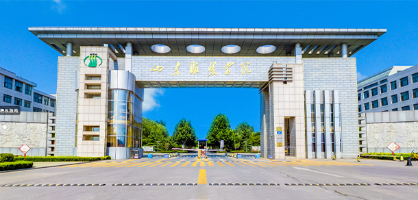 大學(xué)校志：校名、校標(biāo)、校訓(xùn)、?；?、校旗、校歌