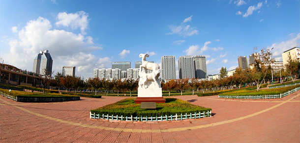 我的大學(xué)-大學(xué)志
