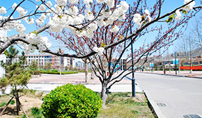 山東外貿(mào)職業(yè)學(xué)院
