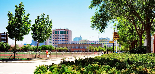 山東勝利職業(yè)學院 - 最美大學