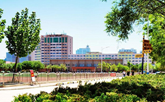 山東勝利職業(yè)學院 - 我的大學