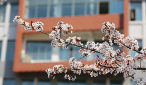 棗莊科技職業(yè)學(xué)院