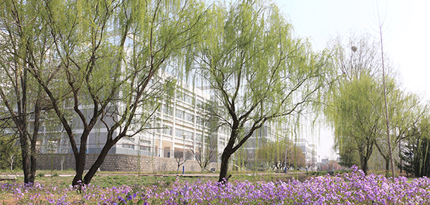 山東電子職業(yè)技術(shù)學院 - 最美大學