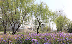 山東電子職業(yè)技術(shù)學院 - 我的大學