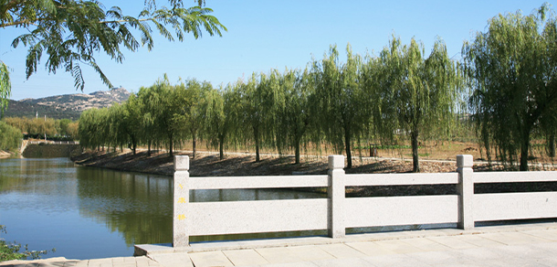 日照職業(yè)技術(shù)學院 - 最美大學